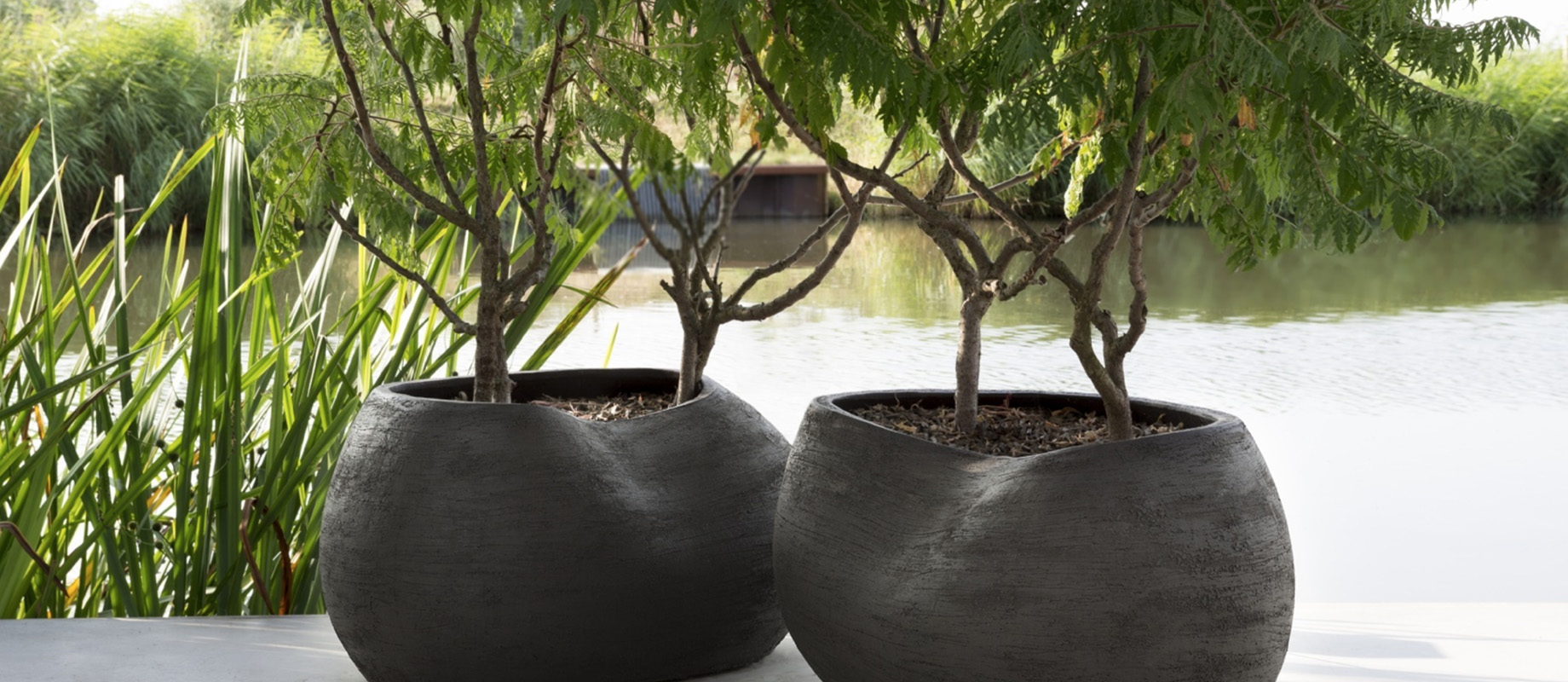 Tuinplanten Benodigdheden 1 Tuinplanten Benodigdheden -Tuinplanten Benodigdheden 1