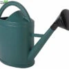 Talen Tools Gieter 14l+sproeier -Tuinplanten Benodigdheden gieter 14l sproeier 750x628 629f5b8301180 l