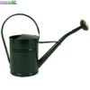 Talen Tools Gieter Metaal Groen 2l -Tuinplanten Benodigdheden gieter metaal groen 2l 700x700 62073733e77ac l