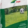 DCM Graszaad Activo 250m² (5 Kg) -Tuinplanten Benodigdheden graszaad activo 250m 5 kg 389x750 62415ead81800 l