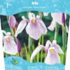 Iris Laevigata 'Rose Queen' -Tuinplanten Benodigdheden iris laevigata rose queen 698x800 640b4778c7ef5 l