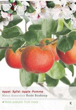 Malus D. 'Rode Boskoop'