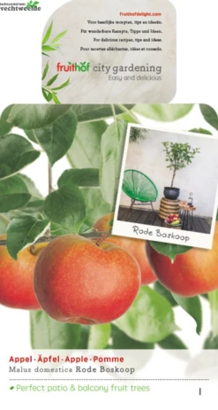 Malus Dom. Rode Boskoop Patio Vp5