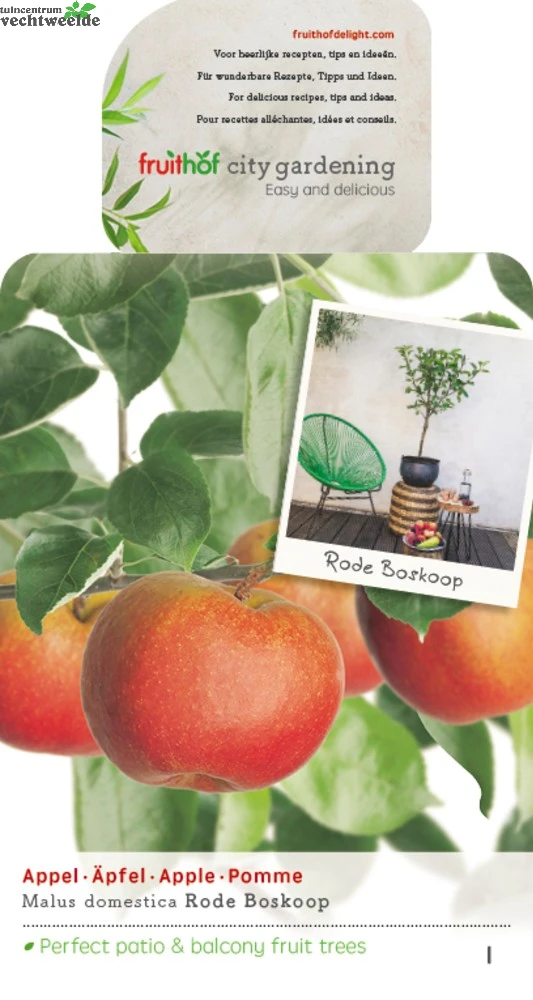 Malus Dom. Rode Boskoop Patio Vp5 3 Malus Dom. Rode Boskoop Patio Vp5