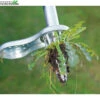 Talen Tools Onkruidsteker 1 Talen Tools Onkruidsteker -Tuinplanten Benodigdheden onkruidsteker 700x700 6207244736d39 l