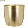 Pot Alano D28h26.90cm Goud 2 Pot Alano D28h26.90cm Goud -Tuinplanten Benodigdheden pot alano d28h26 90cm goud 2952x2952 62a728b1afcfe l