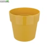 Elho Pot B.for Original D25cm Oker -Tuinplanten Benodigdheden pot b for original d25cm oker 750x751 627bdf3422ca3 l