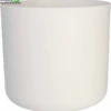 Pot B.for Soft Rond D25cm Wit - Elho -Tuinplanten Benodigdheden pot b for soft rond d25cm wit elho 803x824 6207a429c7297 l