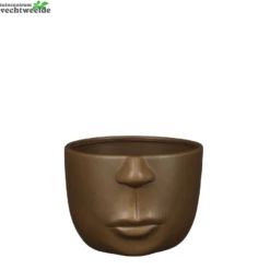 Pot Gezicht L18b16.5h12cm D.bruin