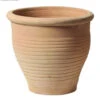 Pot Stan A2cm B D38 - H33cm -Tuinplanten Benodigdheden pot stan a2cm b d38h33cm 462x503 62079f5b1cf4c l