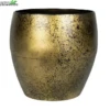 Pot Timo D22h20cm Goud -Tuinplanten Benodigdheden pot timo d22h20cm goud 750x693 627ba6f964bc2 l