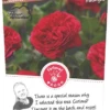 Rosa 'Red Leonardo Da Vinci'® -Tuinplanten Benodigdheden rosa red leonardo da vinci 364x800 640b1d9f293ea l