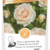 Rosa 'Sweet Honey'® -Tuinplanten Benodigdheden rosa sweet honey 329x683 640b1dbfd010c l