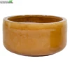 Schaal Glazuur D31h15cm Geel -Tuinplanten Benodigdheden schaal glazuur d31h15cm geel 750x750 6418769299827 l