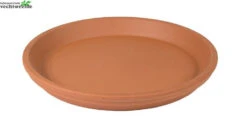 Schotel Roodsteen D51h5.9cm