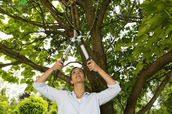 Gardena Takkenschaar Easycut 500 B 4 Gardena Takkenschaar Easycut 500 B - Afbeelding 2