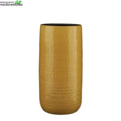 Vaas Floyd D25h50cm Oker - Mica